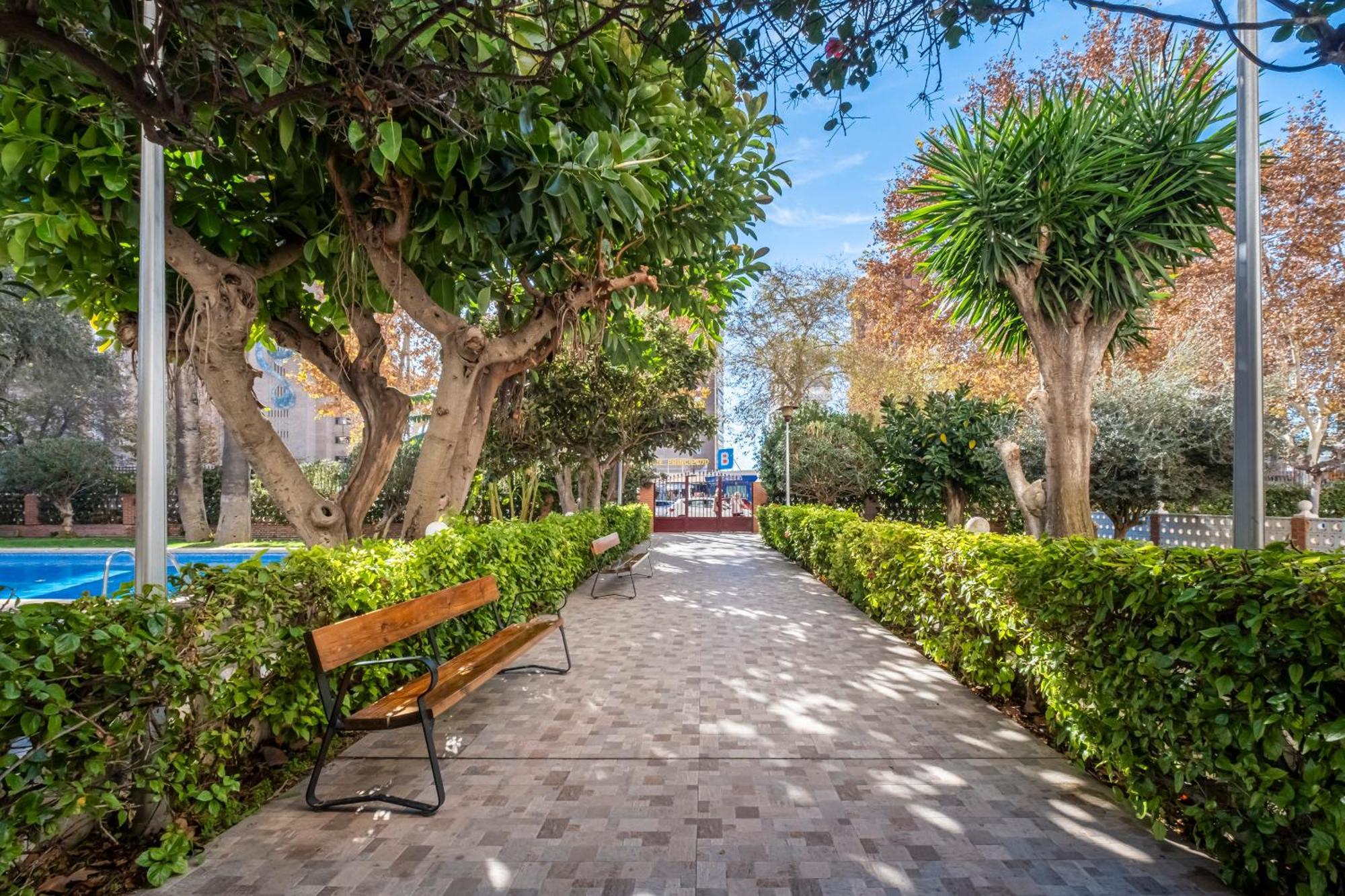 בנידורם Edimar 2-3 Apartment Levante Beach מראה חיצוני תמונה